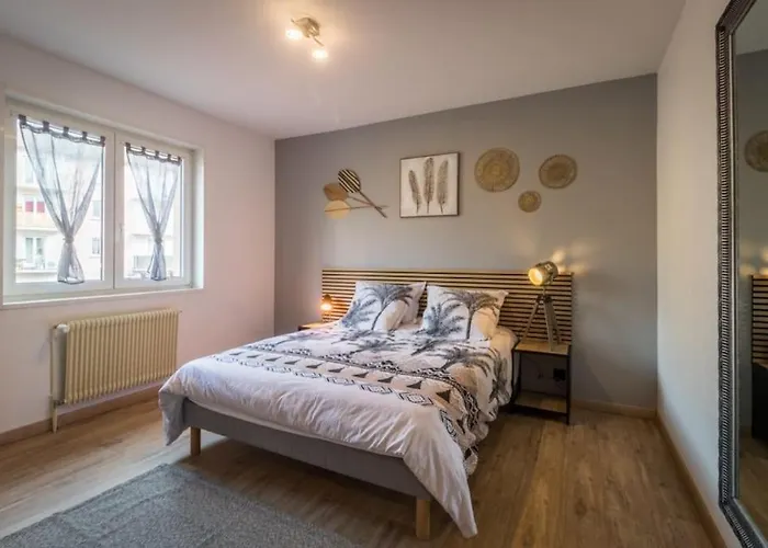 Le Saver'zaru, Centre Ville, T2 55m² Saverne