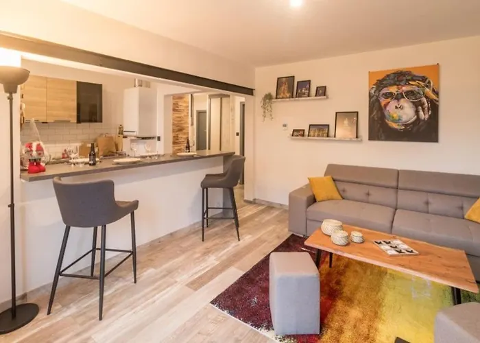Appartement Le Saver'zaru, Centre Ville, T2 55m² *