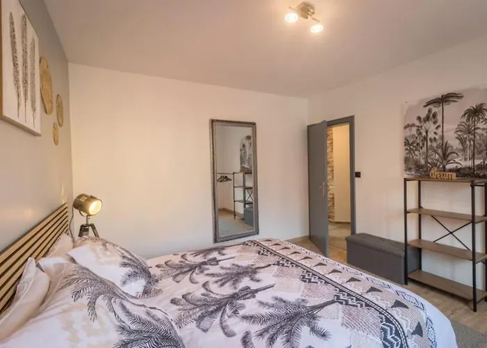 Le Saver'zaru, Centre Ville, T2 55m² Appartement Saverne